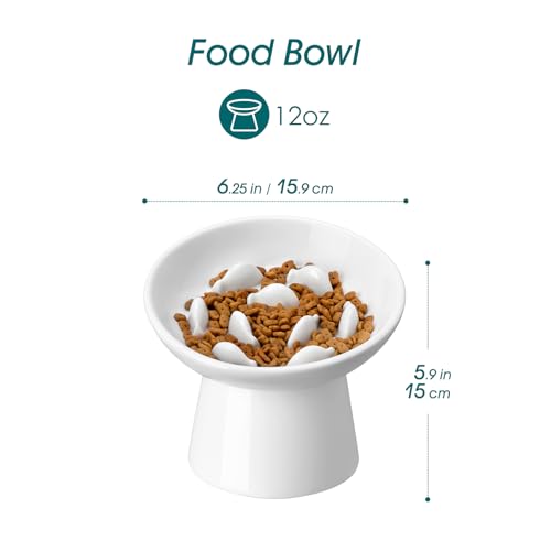 vancasso Ceramic Slow Feeder Cat Bowl, 6.25 Inch Elevated Cat Slow Feeder Bowl, Anti Vomiting for Dry and Wet Food, White