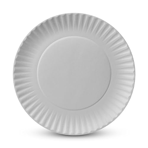500 Uncoated Paper Plates 9 Inch, Everyday Disposable White Dinner Plates | for Parties, BBQ, Picnic Party, Travel and Events, Microwavable Recyclable