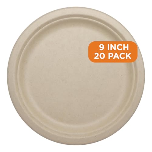 World Centric Compostable Round Paper Plates, 9 Inch (Pack of 20) | Made from Unbleached Plant Fiber, Sustainable, Heavy Duty, Grease Resistant, Microwave & Freezer Safe, No Added PFAS