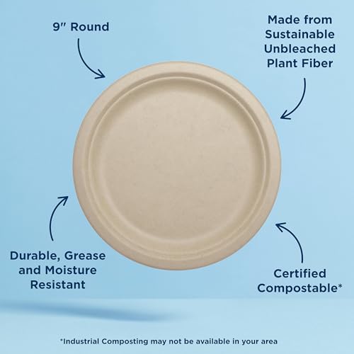 World Centric Compostable Round Paper Plates, 9 Inch (Pack of 20) | Made from Unbleached Plant Fiber, Sustainable, Heavy Duty, Grease Resistant, Microwave & Freezer Safe, No Added PFAS