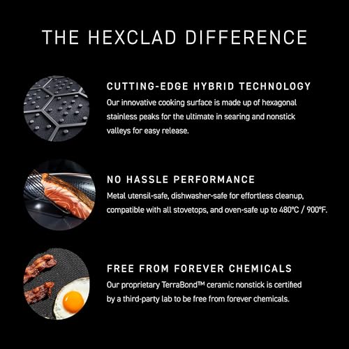 HexClad 10" Hybrid Nonstick Frying Pan with Lid, Dishwasher & Oven Safe