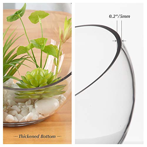 WGVI Clear Slant Cut Bowl Glass Vase, Glass Terrarium, Candy Dish, Glassware, Slant Cut, 7" Width, 6" Height (1 Piece)