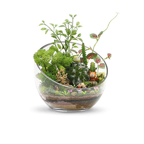 WGVI Clear Slant Cut Bowl Glass Vase, Glass Terrarium, Candy Dish, Glassware, Slant Cut, 7" Width, 6" Height (1 Piece)