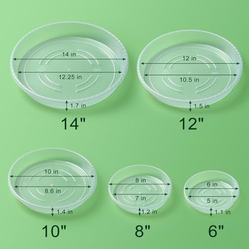 Plant Saucer Tray, 6 Pack 8 Inch Plastic Plant Saucers for Indoor Outdoor | Heavy Duty Clear Flower Pot Tray for pots Planter, Flower Plant Water Trays Plant Pot Saucers Drip Tray for Potted Plant