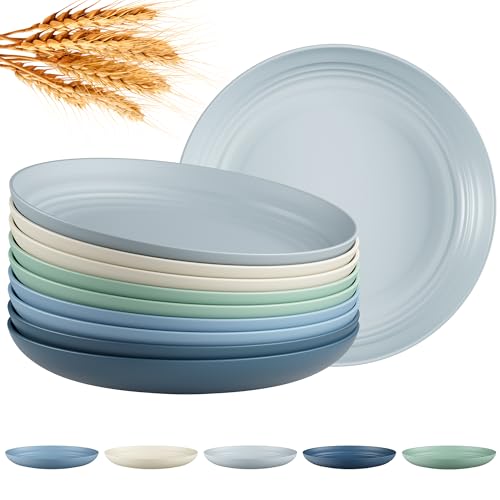 Quatish 10 PCS Reusable Plastic Plates, Dinner Plate, Plate Set, Blue | Unbreakable, Dishwasher & Microwave Safe, Easy-to-Clean, Lightweight,Portable, for Camping Salad, Kitchen & Picnics, 8 inch