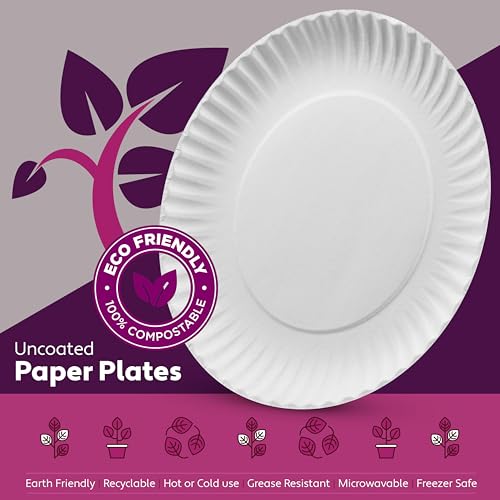500 Uncoated Paper Plates 9 Inch, Everyday Disposable White Dinner Plates | for Parties, BBQ, Picnic Party, Travel and Events, Microwavable Recyclable