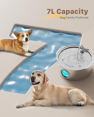 Pet Water Fountain for Large Dogs: Metal Dog Fountain with 6 Filters + 3 Sponges