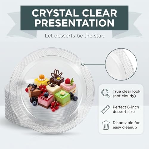 DEEZPOZ 6 Inch Clear Plastic Plates 100 Bulk Pack - Disposable Cake for Dessert & Appetizers, BBQ, Party, Travel and Events,Recyclable (6 IN Clear Plastic plates)