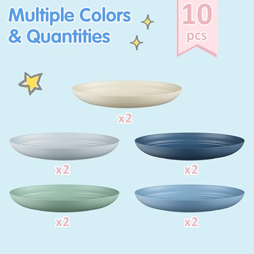 Quatish 10 PCS Reusable Plastic Plates, Dinner Plate, Plate Set, Blue | Unbreakable, Dishwasher & Microwave Safe, Easy-to-Clean, Lightweight,Portable, for Camping Salad, Kitchen & Picnics, 8 inch