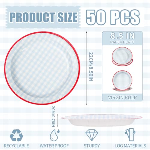 DTFMZOV 50 Pcs Paper Plates, 8.5 Inch Blue Gingham Plate, Disposable Checkered Plaid Gingham Paper Plates for BBQ Picnic Baby Shower Birthday Wedding Party Supplies (Blue)