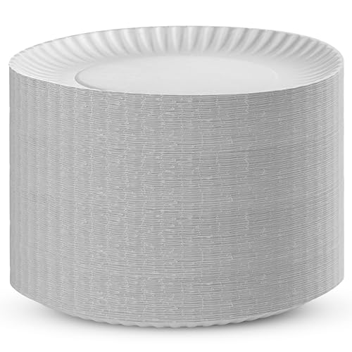 500 Uncoated Paper Plates 9 Inch, Everyday Disposable White Dinner Plates | for Parties, BBQ, Picnic Party, Travel and Events, Microwavable Recyclable