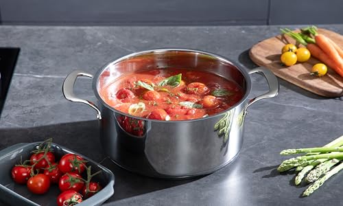 5 Ply Clad 10 Pcs Stainless Steel Pots and Pans Set