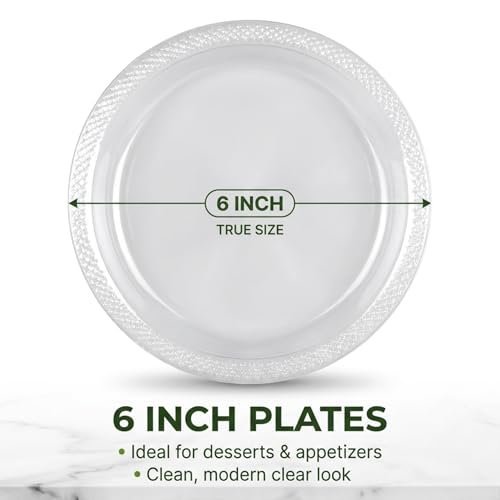 DEEZPOZ 6 Inch Clear Plastic Plates 100 Bulk Pack - Disposable Cake for Dessert & Appetizers, BBQ, Party, Travel and Events,Recyclable (6 IN Clear Plastic plates)