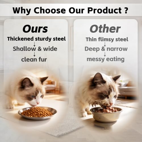 2-Pack Stainless Steel Basic Cat Bowls, Whisker-Friendly Thickened 6.7" Shallow Food Plates, 3M Adhesive Non-Slip Fixed Base, for Home/Outdoor Use with All Foods for Cats, Kittens & Small Pets