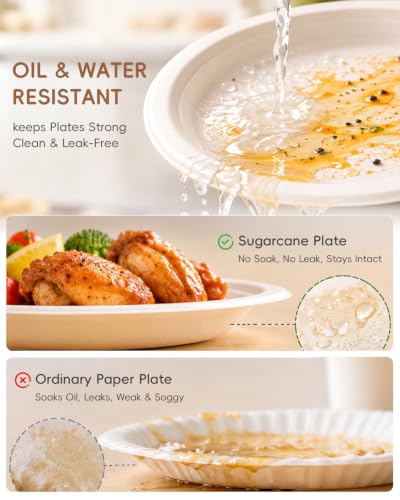Goodluck 9 Inch Bulk Compostable Sugarcane Plates 500 Pack, White | 100% FSC Certified Heavy Duty Plates, Commercial Eco Friendly Disposable Plates for Party, Wedding, Catering & Everyday Use