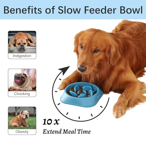 MateeyLife 2-Pack Slow Feeder Dog Bowls, 2 Cups, Dog Puzzle Feeder Bowl | Food-contact safe, dishwasher safe, non-slip base, maze design, for fast eaters, for dogs and cats, daily mealtimes