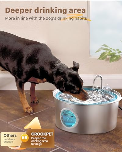 Pet Water Fountain for Large Dogs: Metal Dog Fountain with 6 Filters + 3 Sponges
