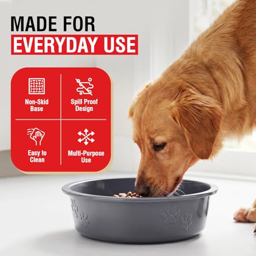 Loving Pets Dolce Luminoso Dog Bowl, Non-Skid Plastic Bowl, Large, Silver | Durable Plastic Pet Food & Water Bowl, Tip-Resistant Design, Embossed Paw Details, BPA-Free & Dishwasher Safe