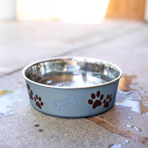 Loving Pets Bella Dog Bowls- Stainless Steel Dog & Cat Bowls - Spill Proof Dog Food Bowl, Cat Bowl, Puppy Essentials & Pet Supplies Great for Home & Travel (Medium 20-35 lbs, Blueberry)