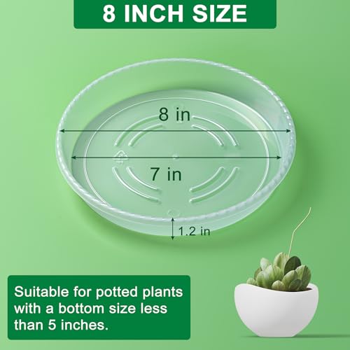 Plant Saucer Tray, 6 Pack 8 Inch Plastic Plant Saucers for Indoor Outdoor | Heavy Duty Clear Flower Pot Tray for pots Planter, Flower Plant Water Trays Plant Pot Saucers Drip Tray for Potted Plant