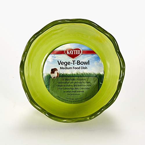 Kaytee Vege-T-Bowl Cabbage 6 inches, Green