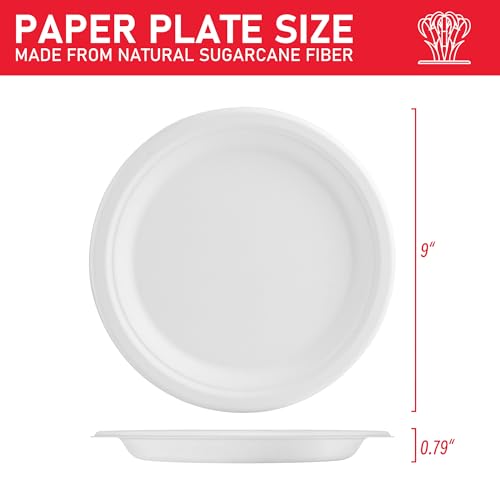 VPACKDUO 150 Pack Compostable Paper Plates 9 Inch | Heavy Duty Disposable Dinnerware, White Paper Plates Made of Biodegradable Bagasse Sugarcane Fiber