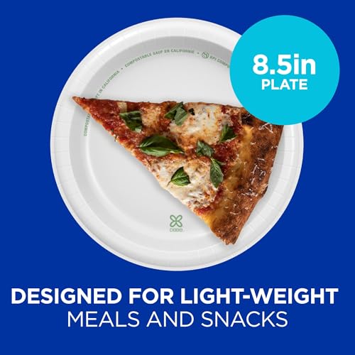 Dixie Basic 8.5 Inch Light-Weight Paper Plates By GP PRO, White, 500 Count (125 Disposable Plates Per Pack, 4 Packs Per Case), DBP09W