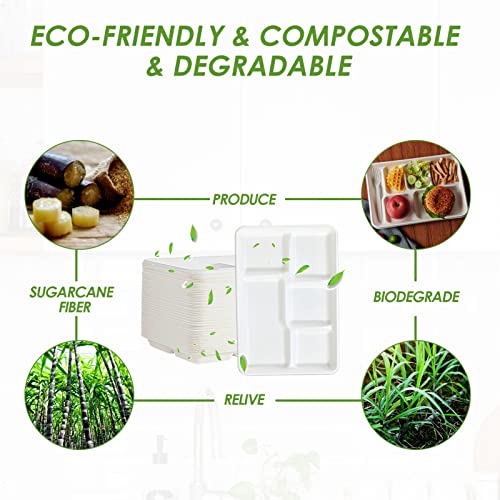 Vplus Compostable 5 Compartment Paper Plates, 100 Pack, 12.5 x 8.6 inch | Disposable School Lunch Trays, Eco-Friendly Bagasse Plates, Perfect for Buffet, and Party