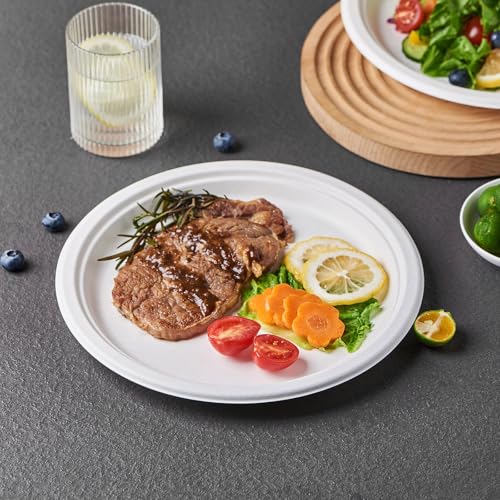 Jaluxing [125-Pack 10 Inch Paper Plates, Heavy Duty Disposable Party Plates Sugarcane Bagasse, White Unbleached 10" Dinner Paper Plate