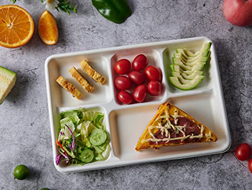 Vplus Compostable 5 Compartment Paper Plates, 100 Pack, 12.5 x 8.6 inch | Disposable School Lunch Trays, Eco-Friendly Bagasse Plates, Perfect for Buffet, and Party