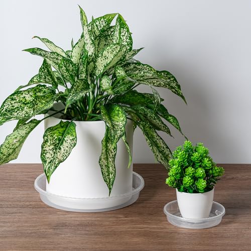 Plant Saucer Tray, 6 Pack 8 Inch Plastic Plant Saucers for Indoor Outdoor | Heavy Duty Clear Flower Pot Tray for pots Planter, Flower Plant Water Trays Plant Pot Saucers Drip Tray for Potted Plant