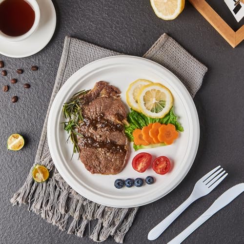 Jaluxing [125-Pack 10 Inch Paper Plates, Heavy Duty Disposable Party Plates Sugarcane Bagasse, White Unbleached 10" Dinner Paper Plate