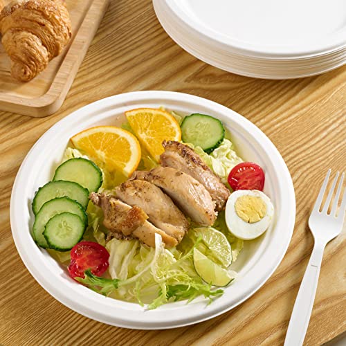 Vplus 500 Pack Compostable Bagasse Paper Plates 9 inch, White | Super Strong Paper Plates, 100% Bagasse, Natural Biodegradable, Perfect for Dinner, Gathering, and Picnic
