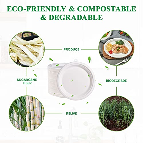 Vplus 500 Pack Compostable Bagasse Paper Plates 9 inch, White | Super Strong Paper Plates, 100% Bagasse, Natural Biodegradable, Perfect for Dinner, Gathering, and Picnic