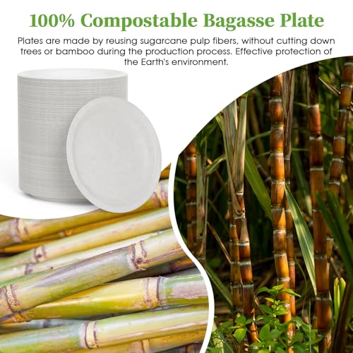 ECOLipak 6 in 200 Pack White Disposable Compostable Dessert Paper Plates | Heavy Duty, Biodegradable, Made of Eco-friendly Sugarcane Bagasse, Ideal for Dinner, Picnic, Appetizer, Birthday, Daily use