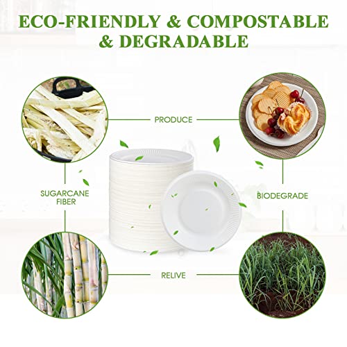 Vplus 100% Compostable Small Paper Plates, 300 Pack 6 Inch, Uncoated | Biodegradable, Made of Sugar Cane Fibers, Perfect for Sandwich, Cake, and Snack