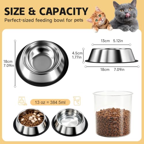 OneBug 13 Oz Steel Stainless Cat Dog Pet Food Water Shallow Dish Bowl, 2Pcs | 13 Fl / 384.5 Ml, Metal, Anti Spill, No Tip, Whisker Friendly, Removable Wide Base, Dishwasher Safe, Easily Clean, Sturdy