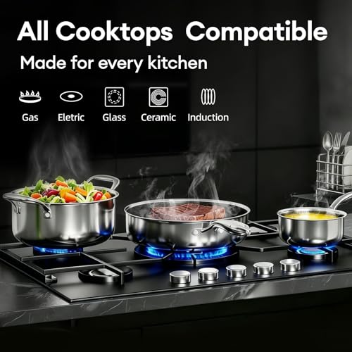 COOKER KING 10pcs Pots and Pans Set Non Stick, Stainless Steel Cookware Set