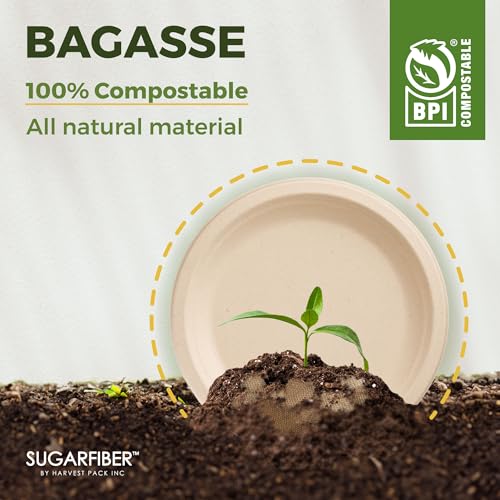 10 inch Elegant Compostable Paper Plates White Floral Acanthus Scalloped | Food Containers,Microwavable,Natural,Sugarcane,Disposable,Bagasse,Eco Friendly,Wedding,Dinner,Scalloped,Sugarfiber,Elegant