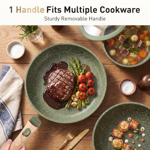 DishDelight Detachable Handle Camping Pots and Pans Set Non Stick