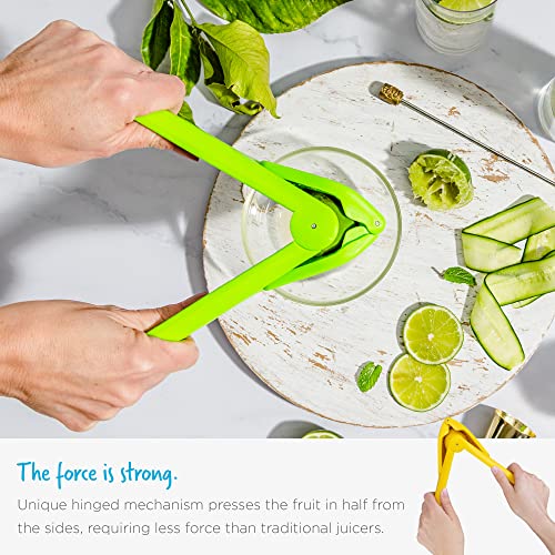 Dreamfarm Fluicer Fold-Flat Citrus Juicer - Lemon Easy, manual fresh lemon juice squeezer with pip catcher, suits lemons and limes, compact storage, 10"