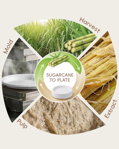 Goodluck 9 Inch White Compostable Sugarcane Paper Plates 125 Pack | 100% FSC Certified Heavy Duty Plates, Commercial Eco Friendly Disposable Plates for Party, Wedding,Catering & Everyday Use