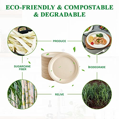 Vplus 150 Pack Compostable Bagasse Paper Plates 9 inch, Nature | Super Strong Paper Plates, 100% Bagasse, Natural Biodegradable, Perfect for Dinner, Gathering, and Picnic