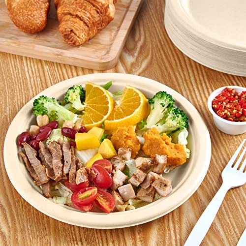 Vplus 150 Pack Compostable Bagasse Paper Plates 9 inch, Nature | Super Strong Paper Plates, 100% Bagasse, Natural Biodegradable, Perfect for Dinner, Gathering, and Picnic