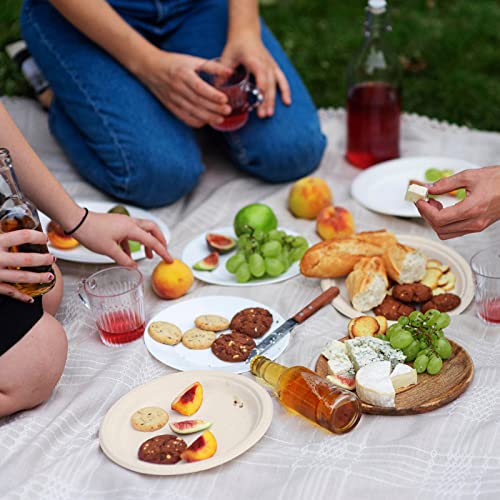 Vplus 150 Pack Compostable Bagasse Paper Plates 9 inch, Nature | Super Strong Paper Plates, 100% Bagasse, Natural Biodegradable, Perfect for Dinner, Gathering, and Picnic