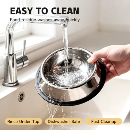 OneBug 13 Oz Steel Stainless Cat Dog Pet Food Water Shallow Dish Bowl, 2Pcs | 13 Fl / 384.5 Ml, Metal, Anti Spill, No Tip, Whisker Friendly, Removable Wide Base, Dishwasher Safe, Easily Clean, Sturdy