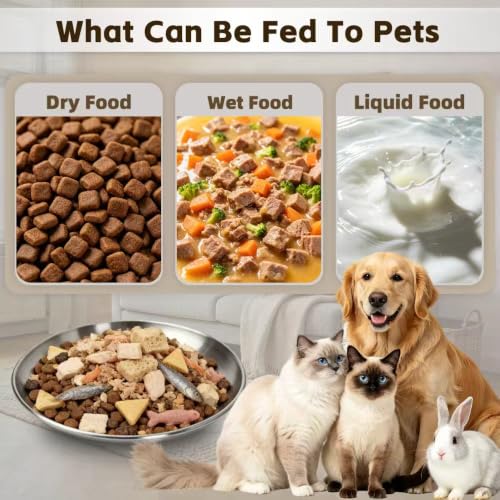 2-Pack Stainless Steel Basic Cat Bowls, Whisker-Friendly Thickened 6.7" Shallow Food Plates, 3M Adhesive Non-Slip Fixed Base, for Home/Outdoor Use with All Foods for Cats, Kittens & Small Pets