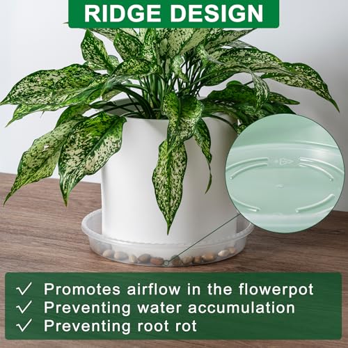 Plant Saucer Tray, 6 Pack 8 Inch Plastic Plant Saucers for Indoor Outdoor | Heavy Duty Clear Flower Pot Tray for pots Planter, Flower Plant Water Trays Plant Pot Saucers Drip Tray for Potted Plant