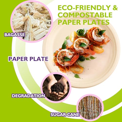 PACKINNO 9 Inch Compostable Paper Plates 125 Pack | Heavy Duty Paper Plates, Round Unbleached Disposable Paper Plates Made from Sugarcane Fibers