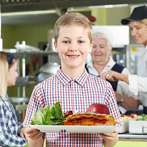 Vplus Compostable 5 Compartment Paper Plates, 100 Pack, 12.5 x 8.6 inch | Disposable School Lunch Trays, Eco-Friendly Bagasse Plates, Perfect for Buffet, and Party